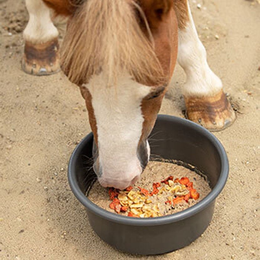 Paardenvoer