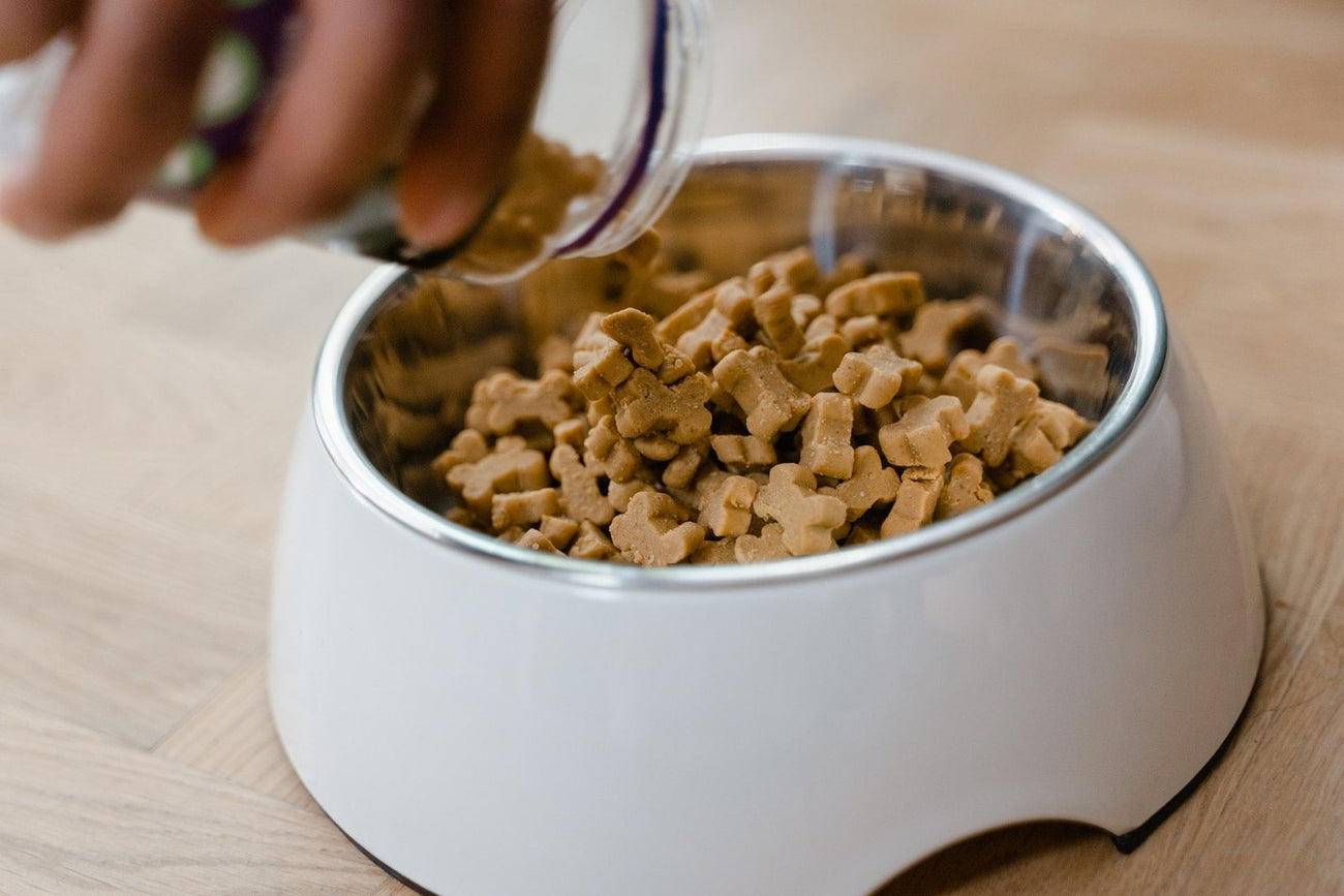 Voer en drinkbakken