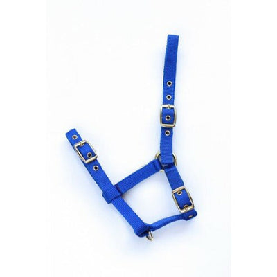 Nylon veulenhalster royal blue