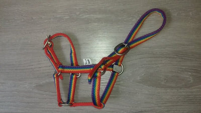 Nylon mini veulenhalster regenboog
