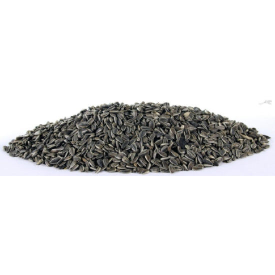 Zonnepitten gestreept 1kg