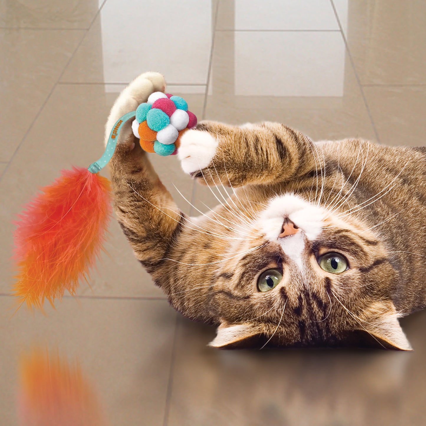 Kong kat active bubble ball