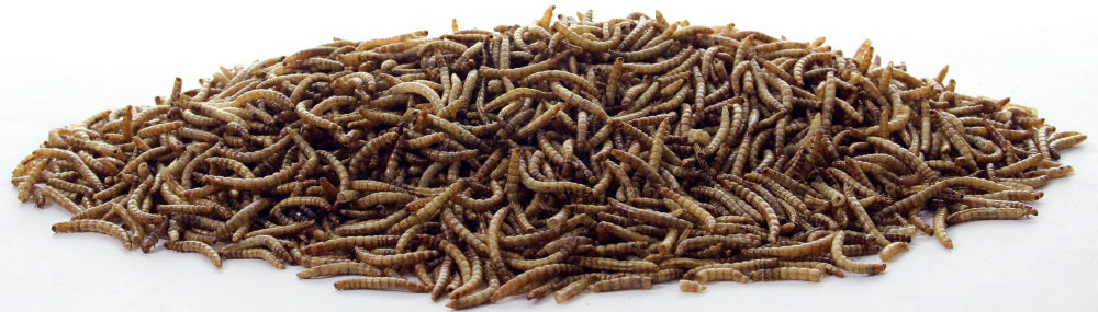 Meelwormen 200gr.