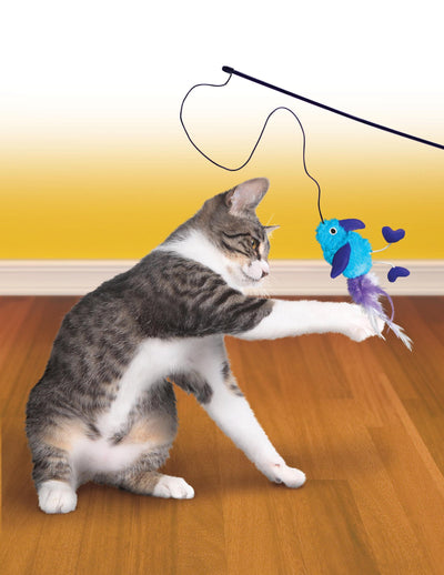 Kong Cat Feather Teaser