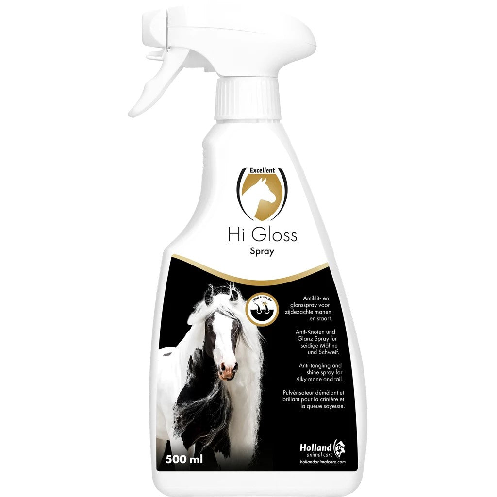 Hi Gloss Spray 500ml