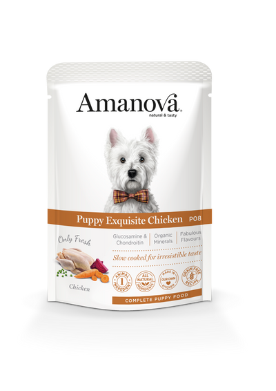 Amanova Puppy Dog Exquisite Chicken 100gr.