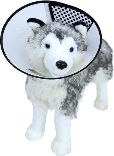 Boon beschermkraag 3XL plastic, 36-46/ 20cm