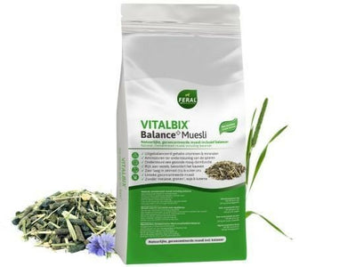 VitalBix Balance+ Muesli 22kg