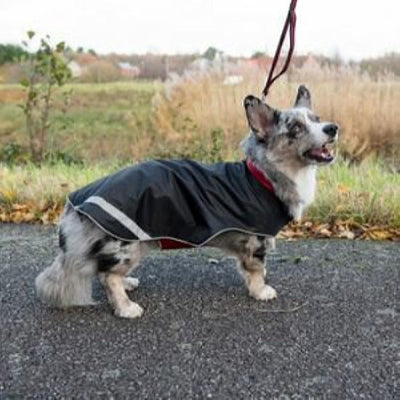 Jack and Vanilla Outdoor Regenjas Met Fleece 25cm zwart/Rood