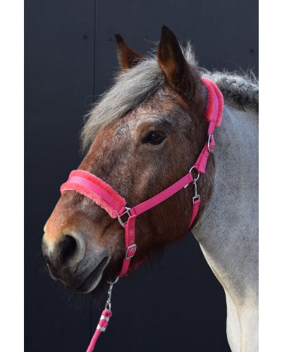 HB Halsters Teddy Fuchsia Trekpaard