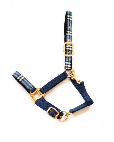 Halster Burberry blauw shetlander