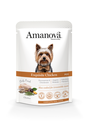 Amanova Adult Dog Exquisite Chicken 100gr.