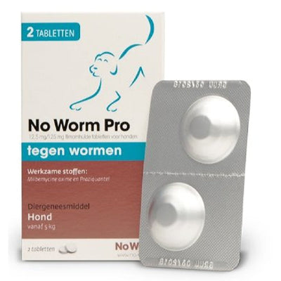 Exil No Worm Pro Hond >5 kg 2 tabletten