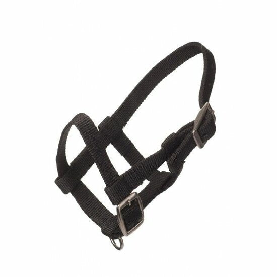Nylon mini veulenhalster zwart