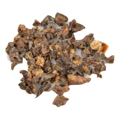 Carnis mini trainer Lamslong 150gr.