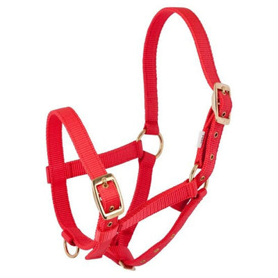 Nylon veulenhalster rood