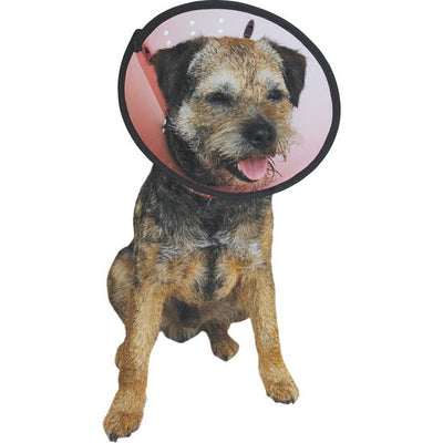 Hondenkraag Smart Collar, Maat 2 (23-30 cm)