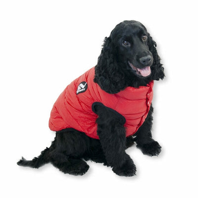 Jack and Vanilla Sport Jacket Rood 30cm