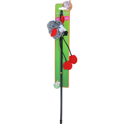 Boon kattenhengel egel met geluid