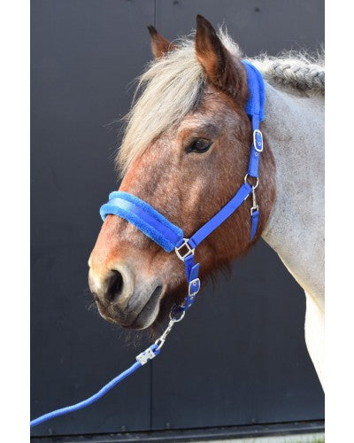 HB Halsters Teddy Royal Blue Trekpaard