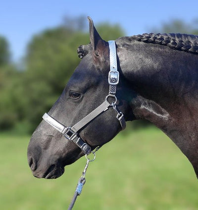 Metallic halster grijs pony