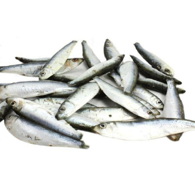 Riverwood Fisherman Sprotten 100gr.