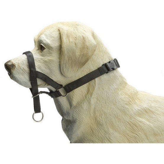 Dog Control Halti XXL
