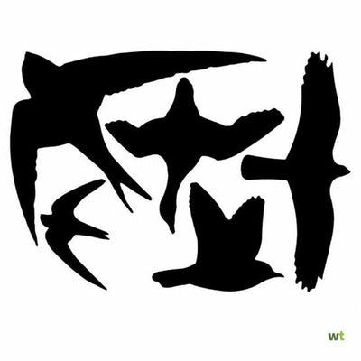 Best for Birds Raamstickers 5st.