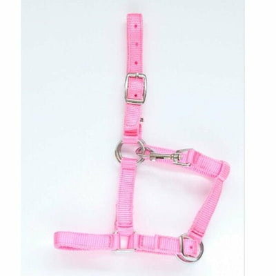 Nylon veulenhalster roze