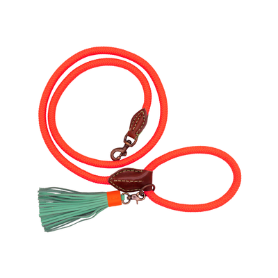 DWAM Classic hondenriem Carrot Cake L