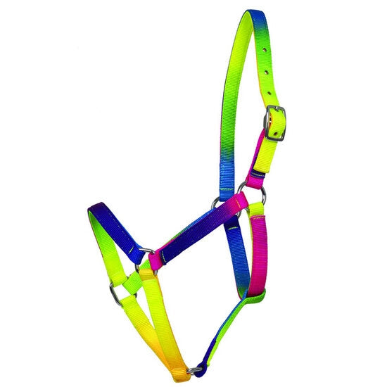 Halster Regenboog Multi Color shetlander