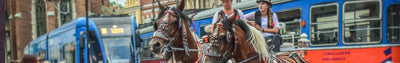Paarden in het verkeer