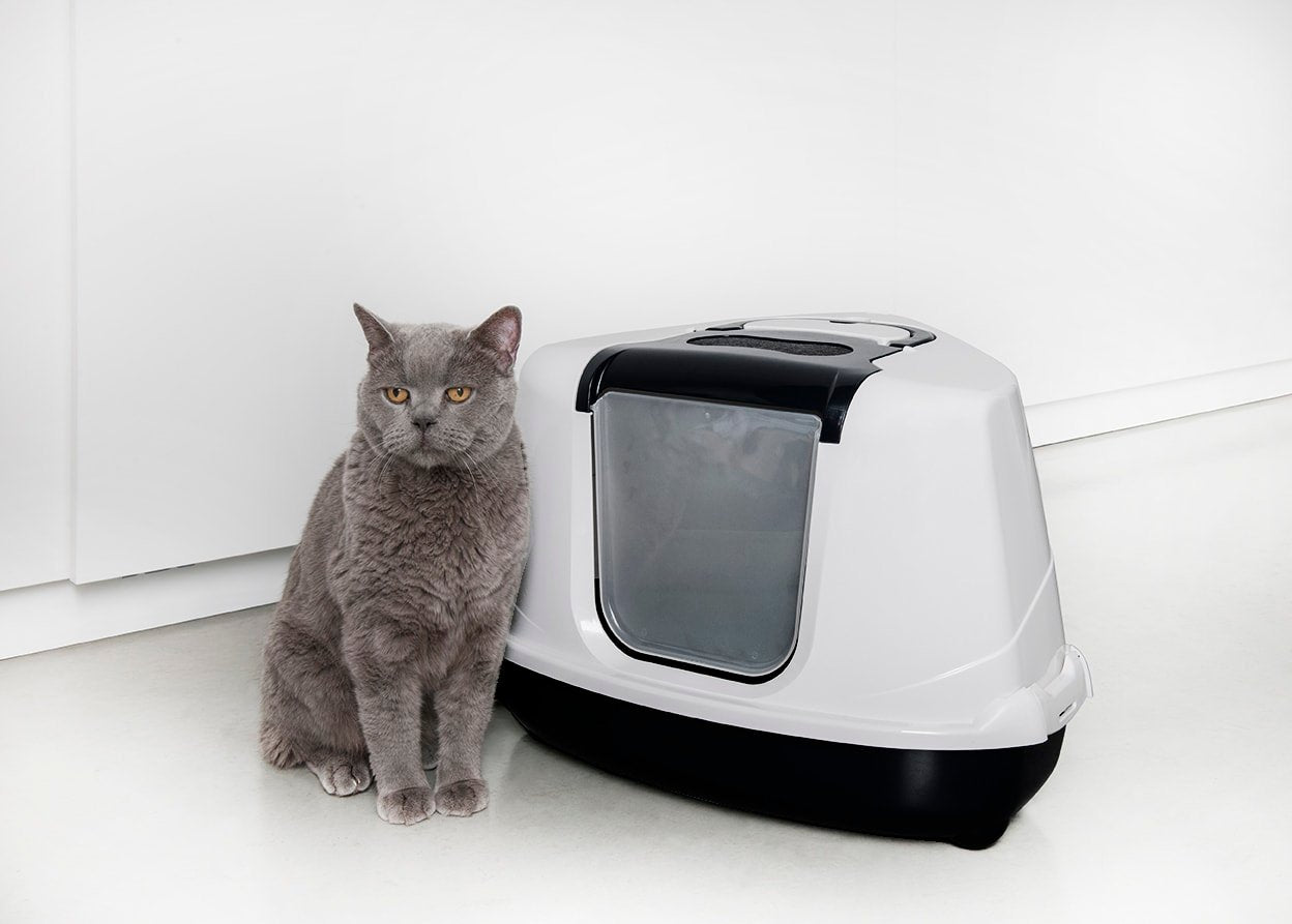 Kattentoilet en toebehoren
