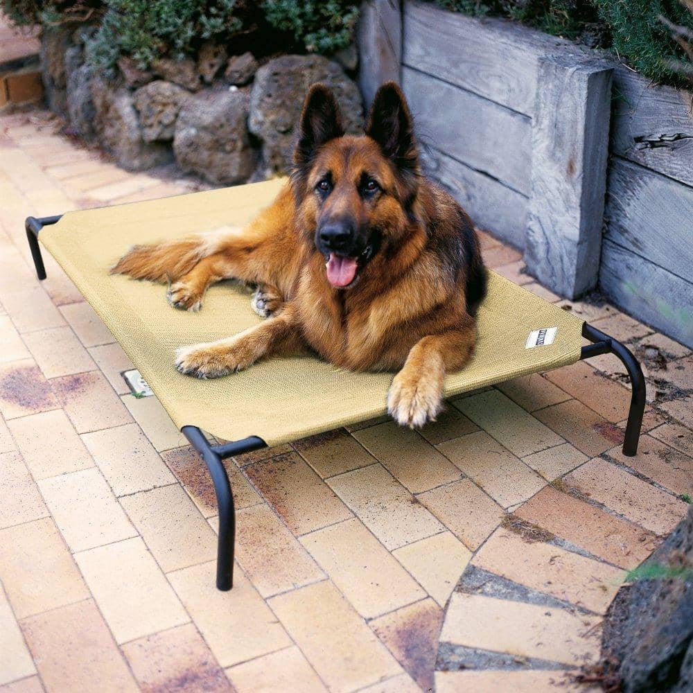 Hondenstretchers