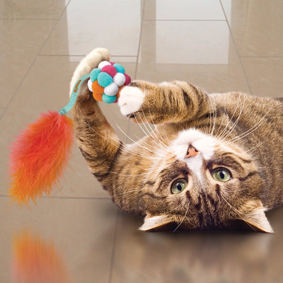 Kong kat active bubble ball