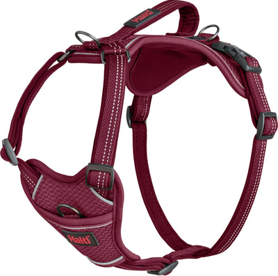 Halti Anatomy Harnas Magenta L