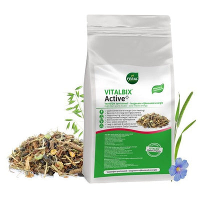 VitalBix Active+ 22kg