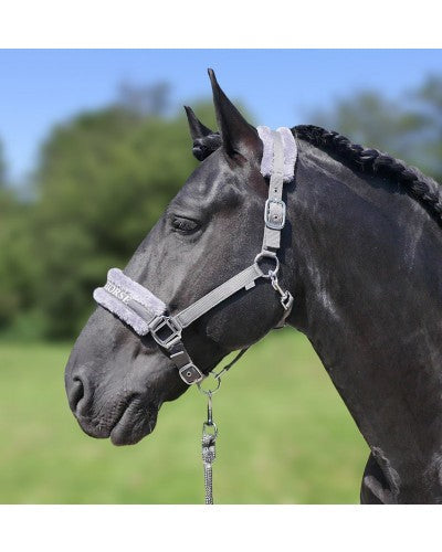Bonthalster Strong Horse grijs pony