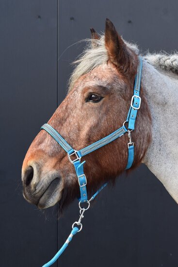 Halster Diamonds turquoise pony