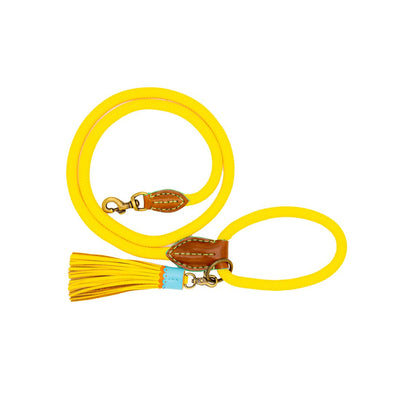 DWAM Classic hondenriem Sunny L
