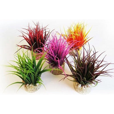 Sydeco kunststofplant Aqua Nanomos 8cm